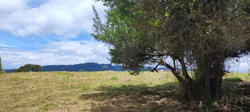 Lote En Venta En La Calera. Cod V13212