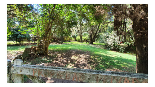 Imagen 19 de 30 de Casa Quinta 6 Amb Quincho Parrilla Pileta 5 Lotes Arbolados En Alejandro Petion Cañuelas