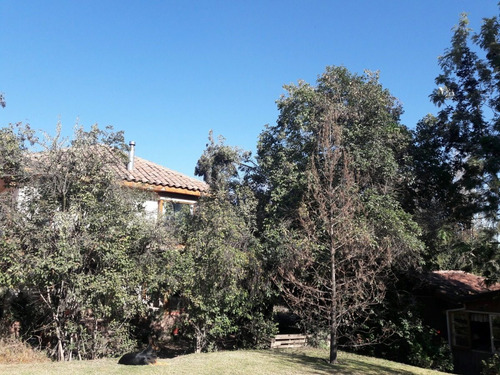 Imagen 23 de 30 de Vendo 2 Casas En 1 Terreno (ambas Excelentes)