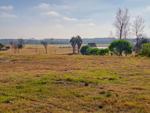 Oportunidad Gran Lote Interno De 3556 M2 Muy Lindas Vistas En Venta - Carmelo Golf