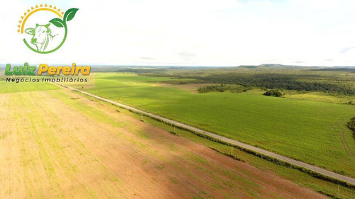 Imagem 13 de 15 de Fazenda À Venda Em Aparecida Do Rio Negro - To -1331 Hec (agricultura) - 1925