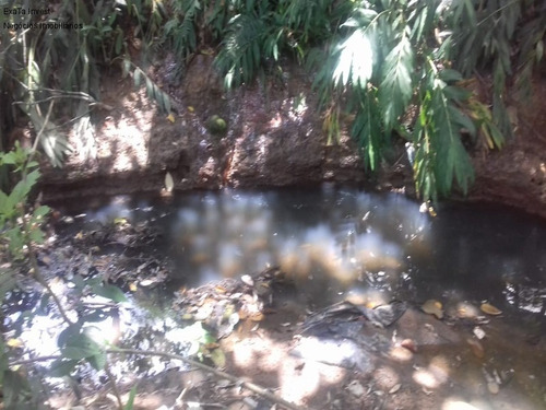 Imagem 8 de 26 de Galpão À Venda Em Cotia, Com 5.800m² De Terreno, Ótima Localização, Próximo Ao Retorno E Ao Lado Da Rod. Raposo Tavares. - Gl00021 - 69260819