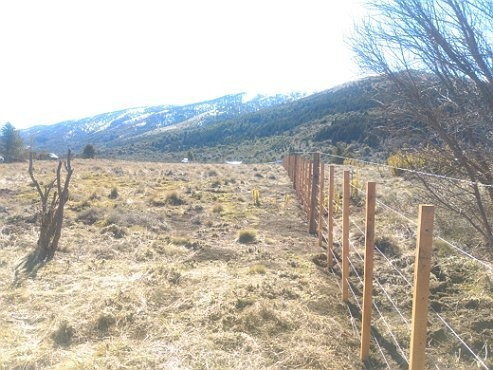 Imagen 10 de 14 de Lote Único Con 41 Metros De Costa De Río Quilquihue