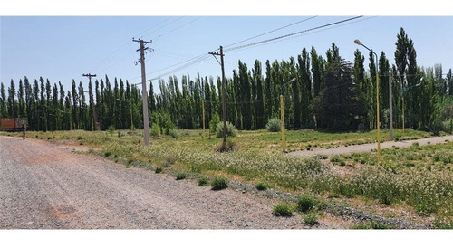 Imagen 2 de 30 de Terreno La Consuelo 499 Mts