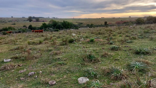 114 Has 9201 M2 En Paraje Jose Ignacio