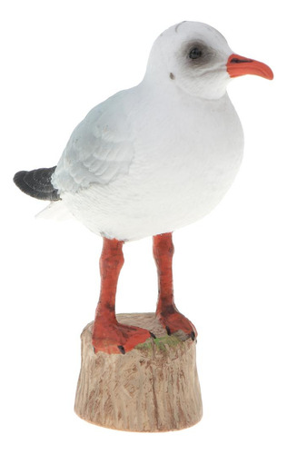 Figuras De Modelo De Gaviota De Cabeza Negra