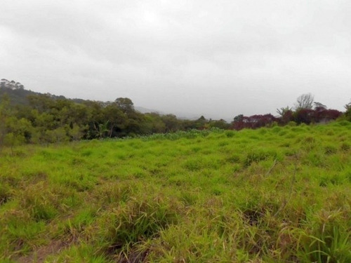Imagem 3 de 13 de Terreno Ibiuna-cupim - 26