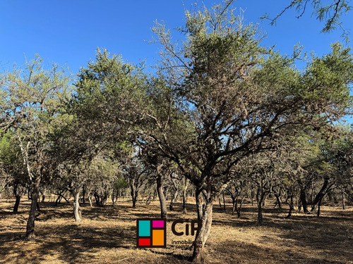Venta De Lotes En Carpinteria Financiados