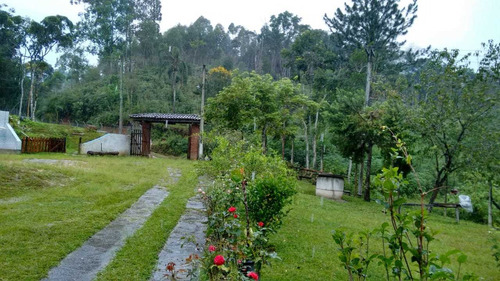 Imagem 6 de 14 de Chácara Em Juquitiba Barnabé