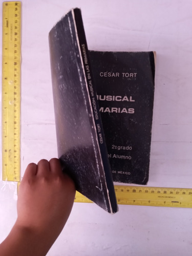 Musical En Las Primarias César Tort (Usado)