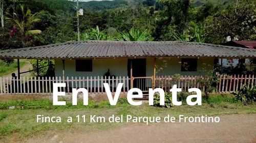 Venta Finca En Frontino Sector Noboga