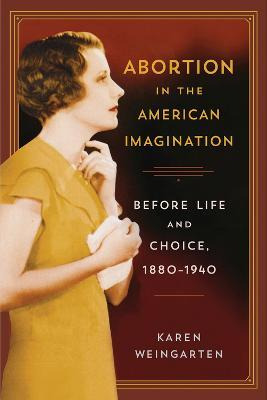 Libro Abortion In The American Imagination - Karen Weinga...