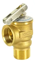 Comprar Válvula De Seguridad Alivio Presión Autoclave Marmita 30 Psi
