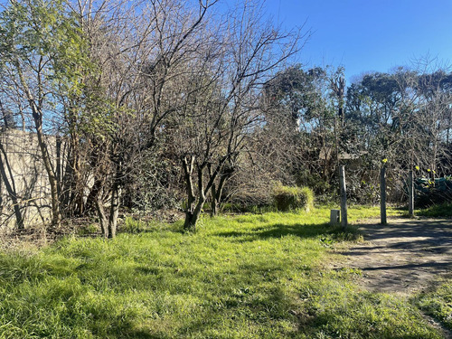 Casa Quinta En 3 Amb. En Venta Lote 900 M2 Excelente Ubicación - Moreno