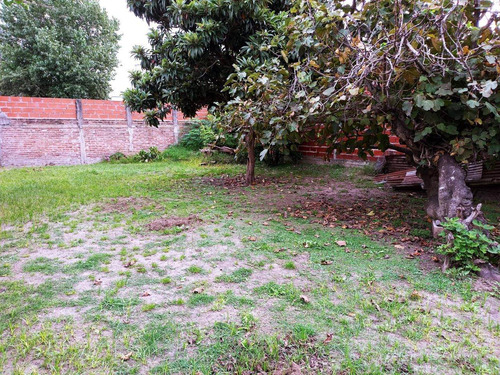 Imagen 1 de 5 de Lote En Venta En Tolosa - Ideal Emprendimiento