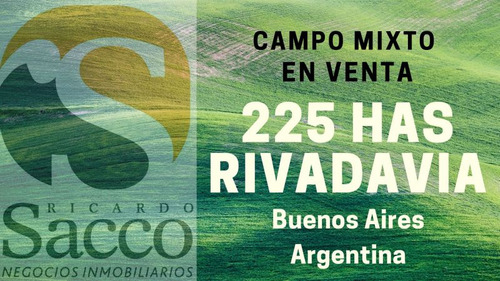 Campo Mixto De 220 Has En Venta En #rivadavia