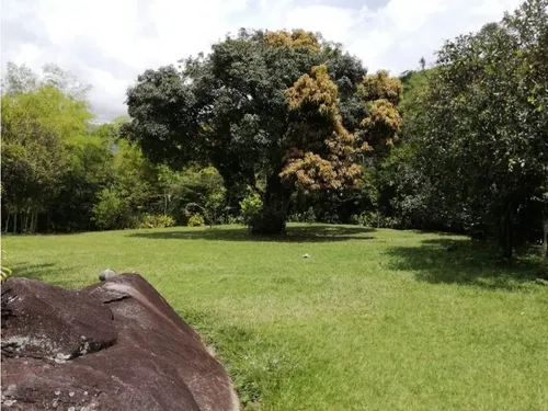 Venta Finca En Yolombo Via Gomez Plata