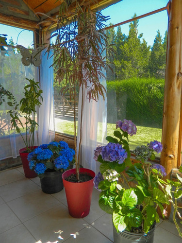Alquiler Casa En Bariloche Sobre Costa Del Lago - Bariloche - Dina Huapi