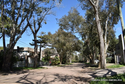 Imagen 3 de 5 de Lote En El Monte