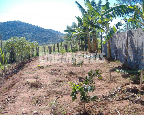 Imagem 15 de 23 de Chácara À Venda 3 Dormitórios No Bairro Distrito De Sapucaí Em Jacutinga - Ch03109 - 68382247