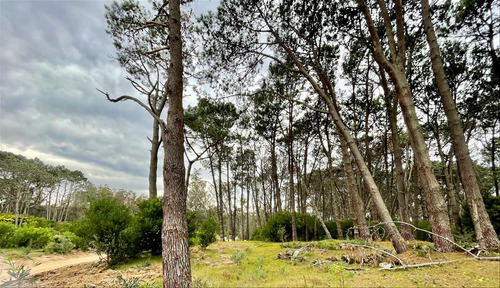 Venta Terreno En Barrio Privado Reserva Montoya