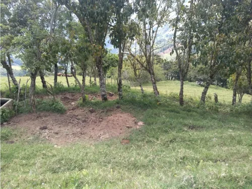 Vendo Finca Ganadera Cerca A La Cabecera De Armenia Mantequilla Ant.