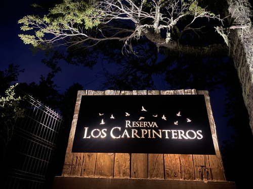 Sitios En Shangrilá - Los Carpinteros - Pangue Propiedades