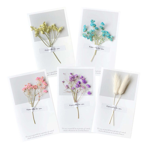 Imagem 3 de 8 de 5pcs Flores Secas Criativas Saudação Para O Aniversário De A