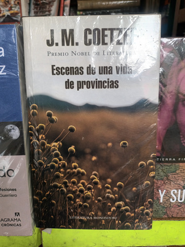 Escenas De Una Vida De Provincias J.m.coetzee