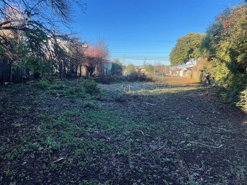 Sitio En Venta En La Comuna De Yungay