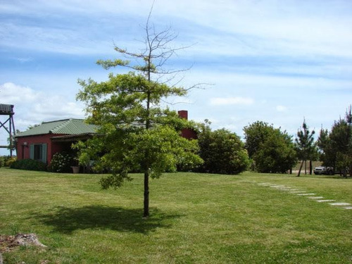 Bonavita