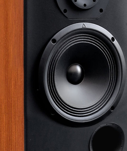 Bafles Triangle Zerius 902 Distribuidor Oficial