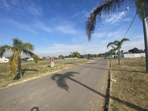 Imagen 2 de 8 de Lotes En Venta, Mateo Gelves Al 1600, Escobar