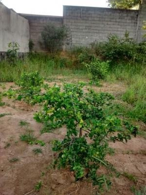 Imagem 11 de 15 de Ref.: 15835 - Sobrado Em Cotia Para Venda - 15835