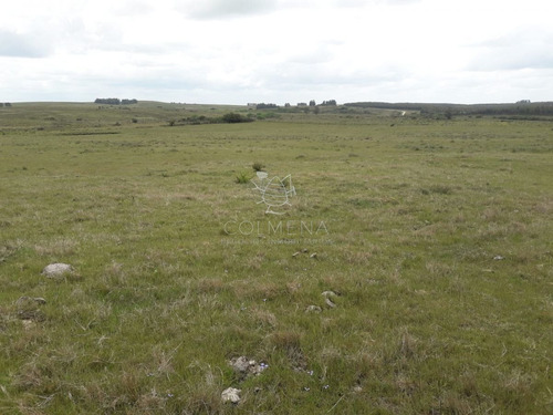 Imagen 18 de 20 de Campo En Paraje Jose Ignacio - Consulte!!!!!! - Jose Ignacio