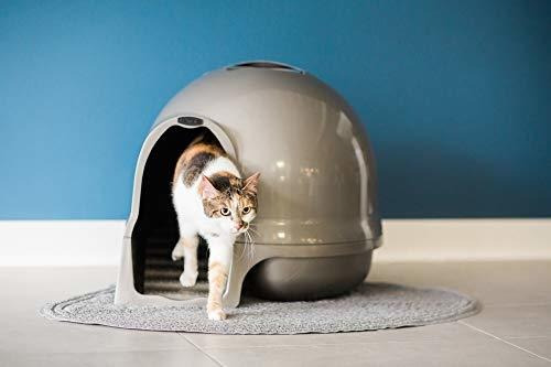 Arenero Para Gato Booda Petmate Cleanstep Dome