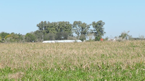 Imagen 8 de 16 de 360 Has Campo Mixto En Venta, Magdalena. Ex Tambo 80 % Agrícola.