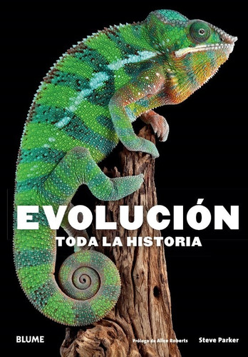 Evolución. Toda La Historia