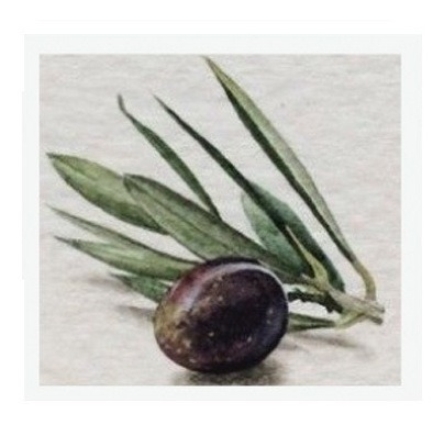 Cuadro Decorativo Olives Fruit  En Acrílico 30 X 30 Cm