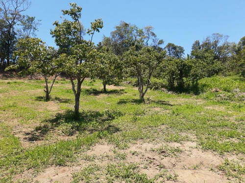 Imagem 18 de 21 de Saia Já Do Aluguel, Terrenos De 600m² Em Ibiúna-sp. G.02