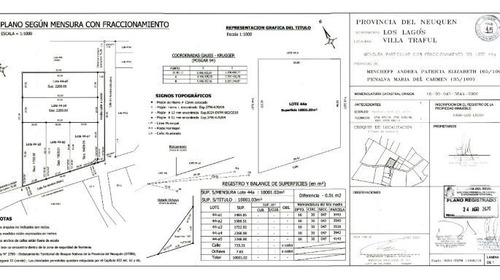 Venta De Lote Arbolado En Villa Traful Patagonia Argentina
