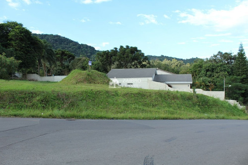 Imagem 9 de 13 de Terreno De Esquina Casemiro De Abreu 866m² Bairro Perpétuo Socorro - 12860