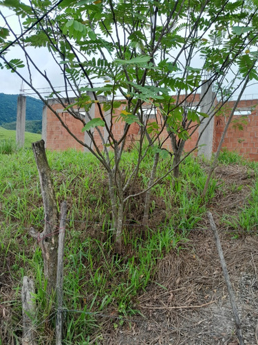 Oportunidade Única,terreno No Bairro Sabugo Em Paracambi