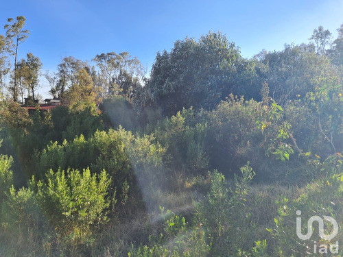 Venta Terreno 0 Ambiente Las Ánimas (ex-hacienda Las Ánimas)