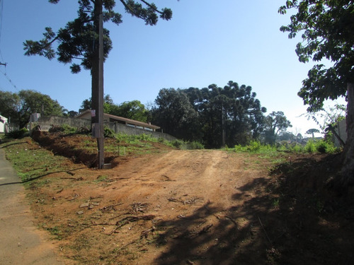Imagem 5 de 6 de Terreno Para Venda - 10600.2063