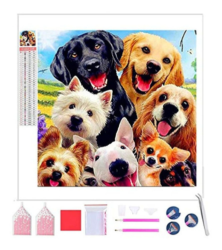 Imagen 1 de 7 de Kit De Pintura De Diamante Completo Cuadrado