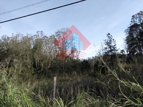 Imagem 7 de 8 de Terreno - Ref: 00430