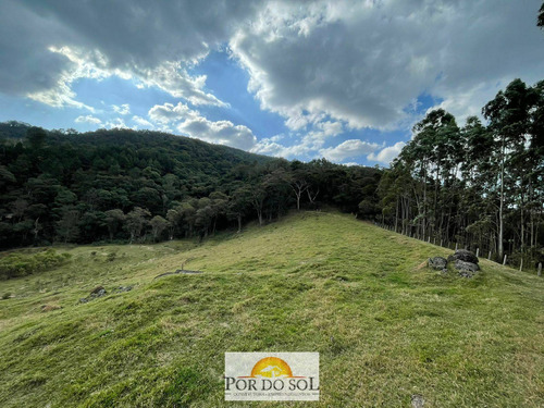 Imagem 13 de 23 de Sítio À Venda Em Pedra Bela/sp - 0271