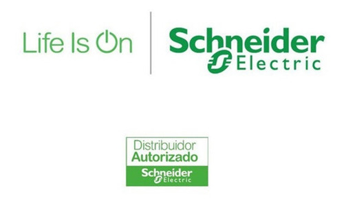 Pastilla Interruptor Termomagnético2polos30a Qo230 Schneider