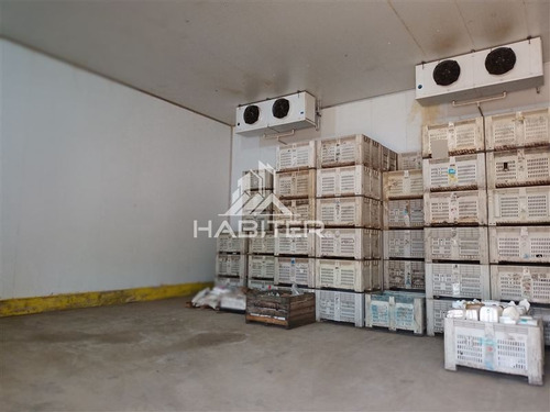 Imagen 20 de 30 de Agrícola En Venta En Curicó